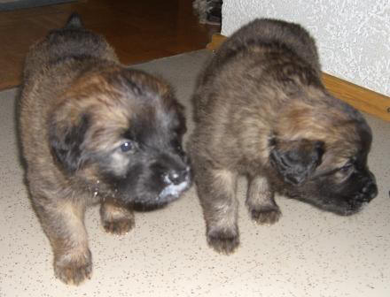 Uschis Babys