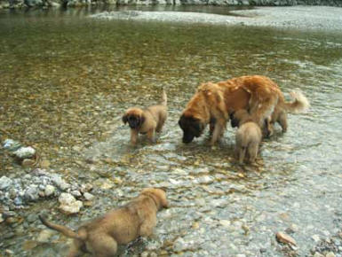 Am Lech beim Baden