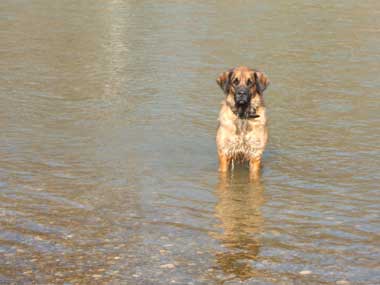 Am Lech beim Baden