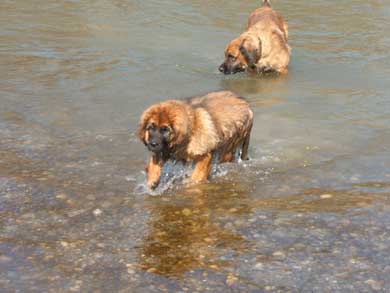 Am Lech beim Baden