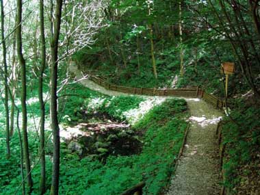 Naturpark Augsburg Westliche Wlder