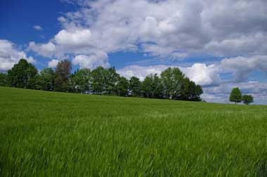 Naturpark Augsburg Westliche Wlder