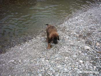 am_lech_0009_0011