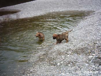 am_lech_0009_0017