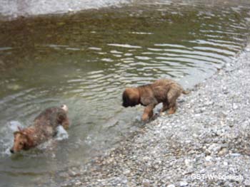 am_lech_0009_0018
