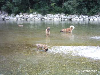 am_lech_0009_0020