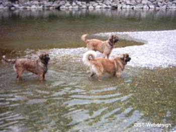 am_lech_0009_0026