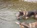 am_lech_0009_0007