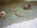 am_lech_0009_0010