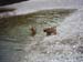 am_lech_0009_0017