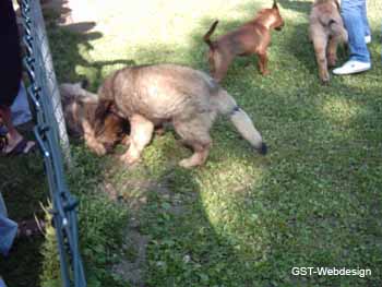 koenigsbrunn_0000_0001