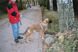Zoobesuch