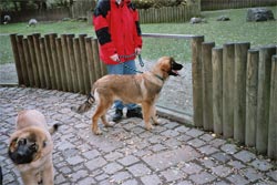Zoobesuch