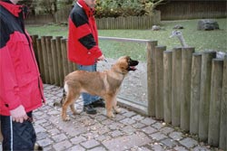 Zoobesuch