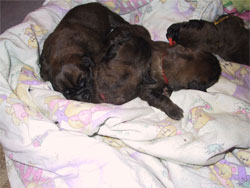 Bilder der 1.Tage