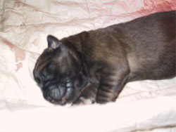 Bilder der 1.Tage