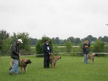 Indian Sky SG 3 in der Jngstenklasse 