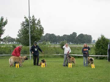 Indian Sky SG 3 in der Jngstenklasse 