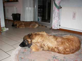 Mona und Flora