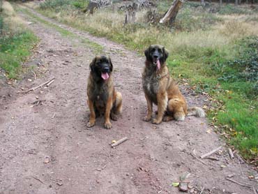 Mona und Flora bei der Leo- Herbstwanderung 09