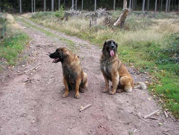 Mona und Flora bei der Leo- Herbstwanderung 09