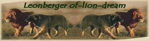 Banner of-lion-dream