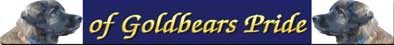 of Goldbaers Pride